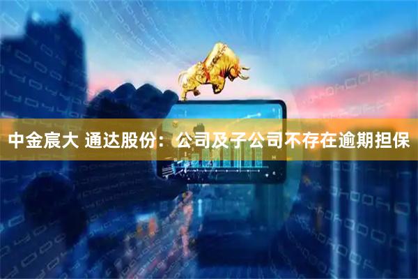 中金宸大 通达股份：公司及子公司不存在逾期担保