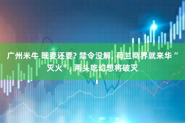 广州米牛 既要还要? 禁令没解, 荷兰商界就来华“灭火”, 两头吃幻想将破灭